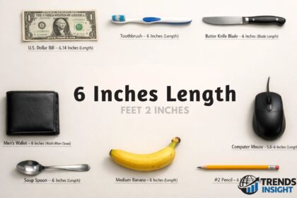 6 inches